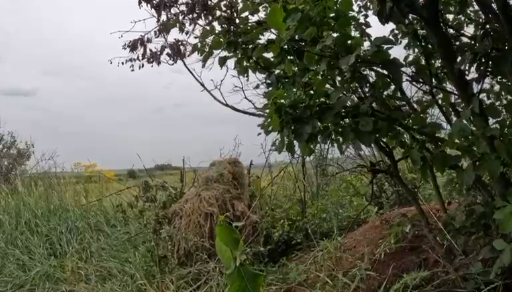 Загнати ворога в пастку. Сирський розповів про актуальну ситуацію поблизу Бахмута