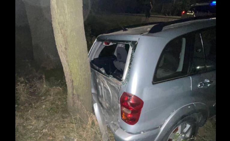 У Львові нетвереза водійка авто влетіла у дерево