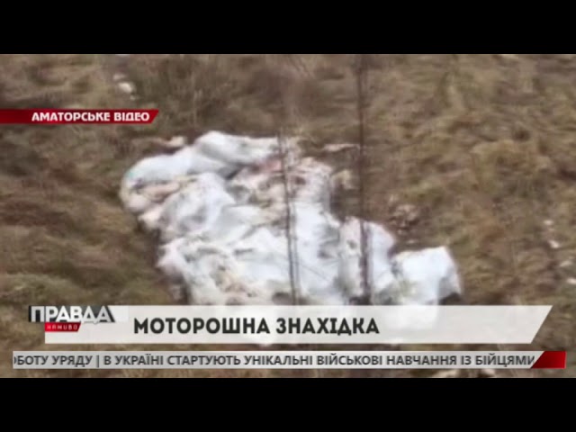 На Жовківщині знайшли 40 мішків із рештками тварин