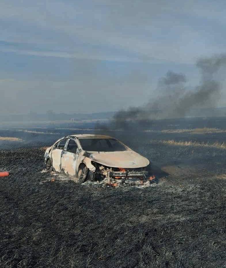 На Львівщині у полі  загорілася машина: вогнем знищено 50 тонн  врожаю пшениці (відео)
