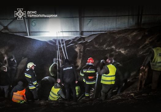 На Тернопільщині чоловіка засипало зерном в елеваторі