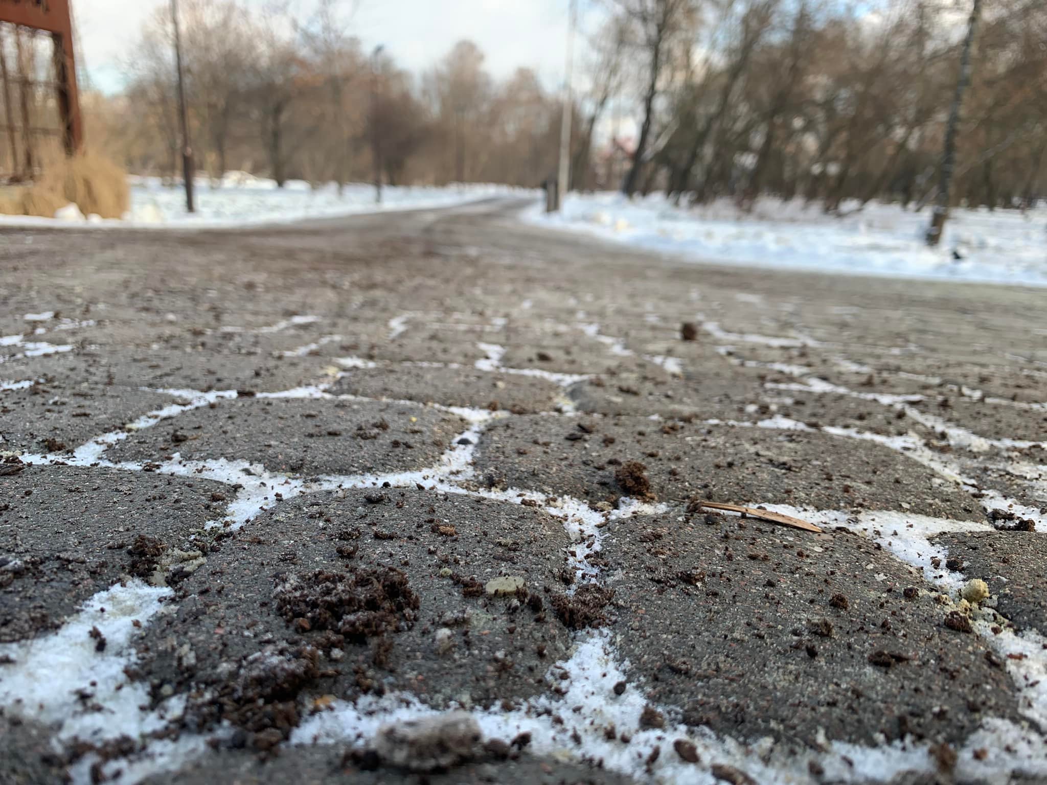 Парки, що пахнуть кавою. У Львові знову борються з ожеледицею кавовою гущею