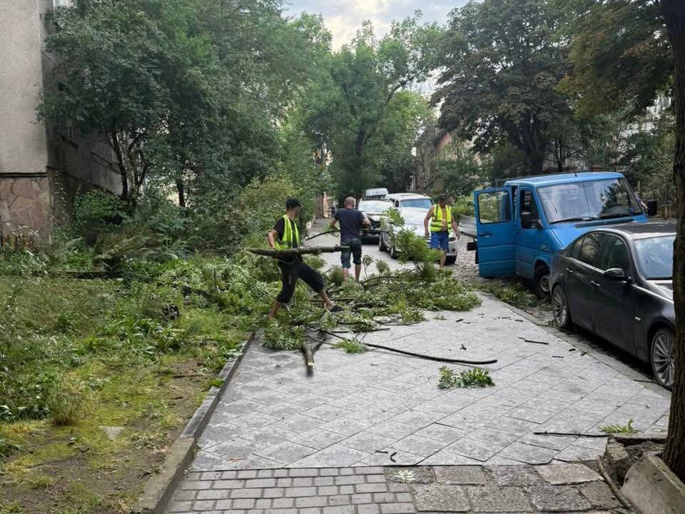 Після негоди у Львові прибрали понад 90 повалених дерев: комунальники продовжують роботи