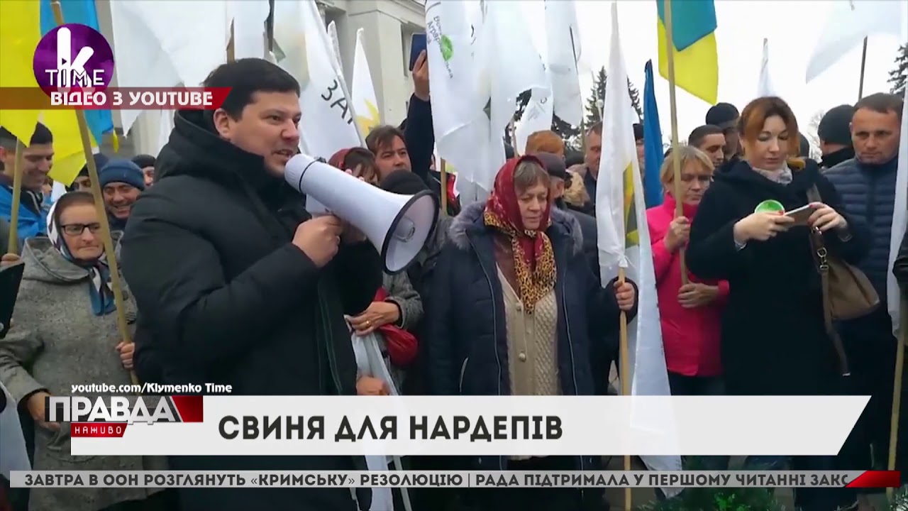 До Верховної Ради принесли свиню