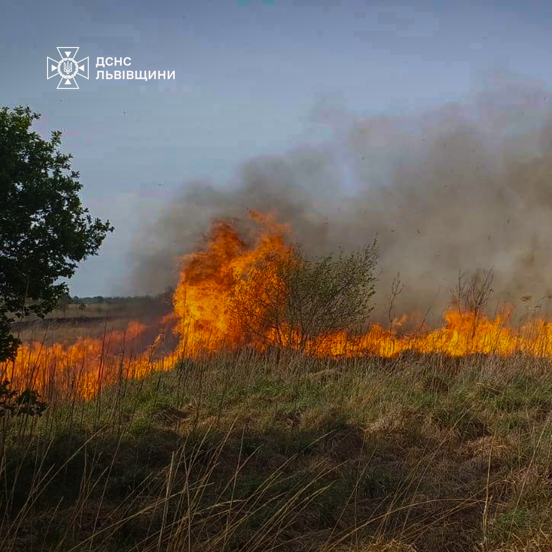 На Львівщині за добу 16 пожеж сухостою: ледь не згоріли два будинки (фото)