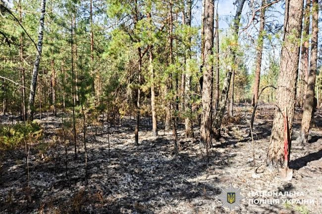 На Рівненщині знайшли уламки "шахедів": фото з місця вибуху