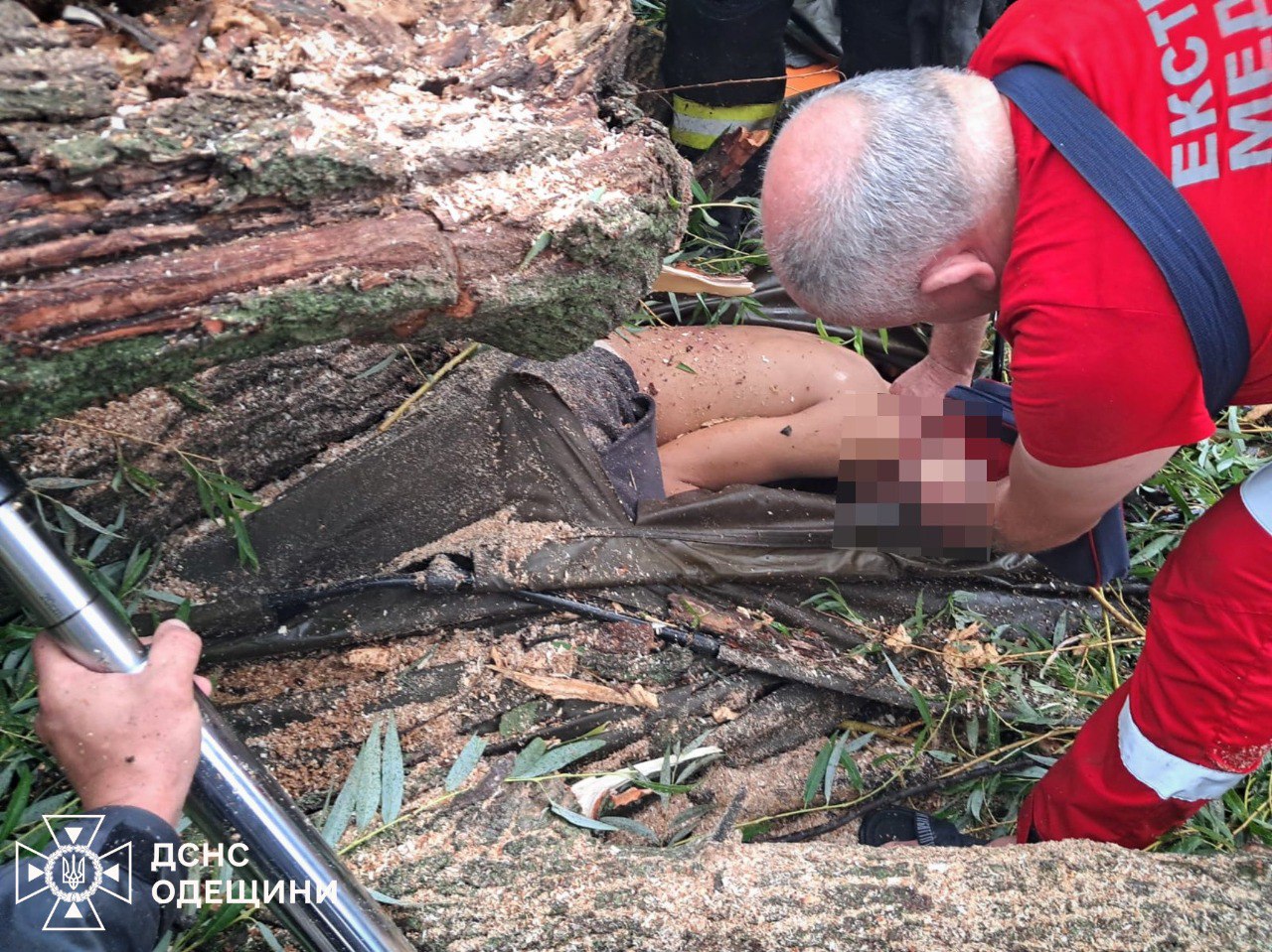 На Одещині дерево впало на дітей: одна дитина загинула, четверо постраждали
