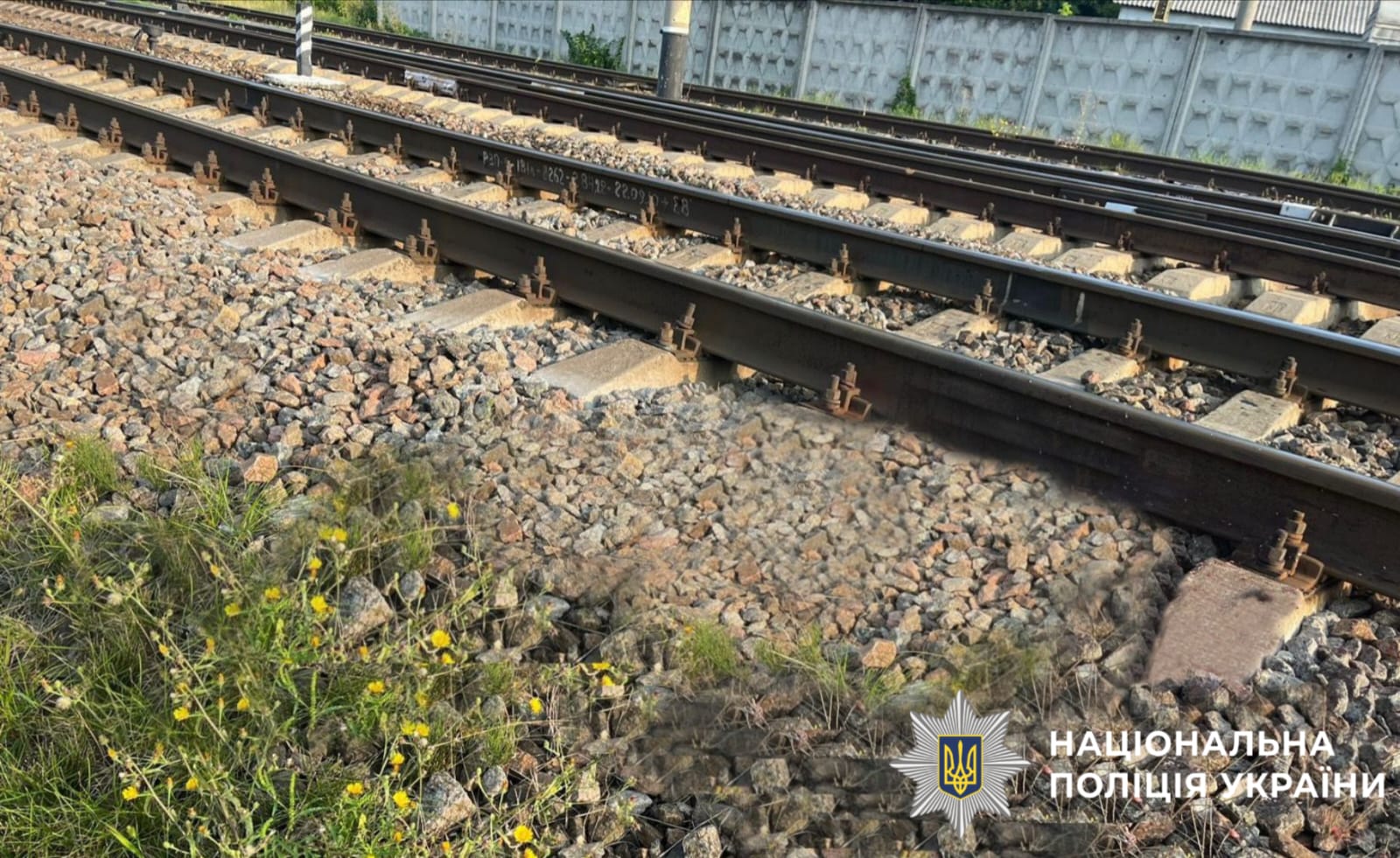 На Київщині жінка загинула під колесами швидкісного потягу