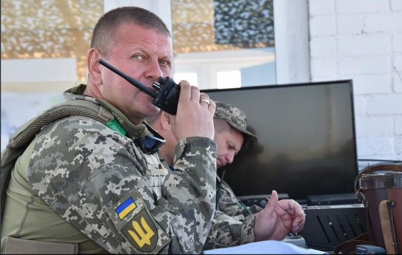 Головнокомандувач Залужний показав роботу польських «Крабів» в Україні