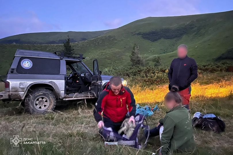На Закарпатті в горах 30-річну туристку покусав собака вівчарів