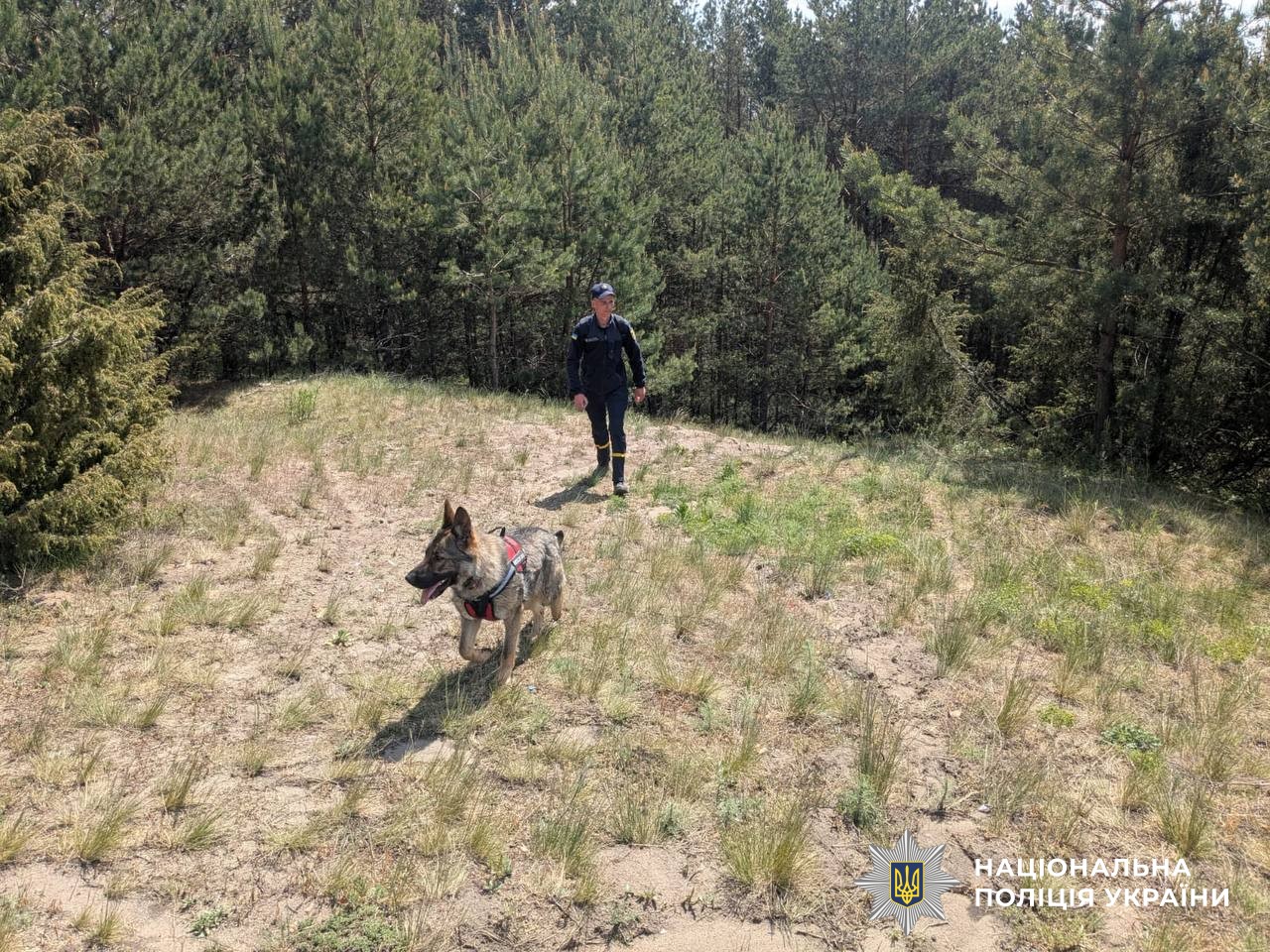 На Рівненщині три доби шукали заблукалого в лісі пенсіонера