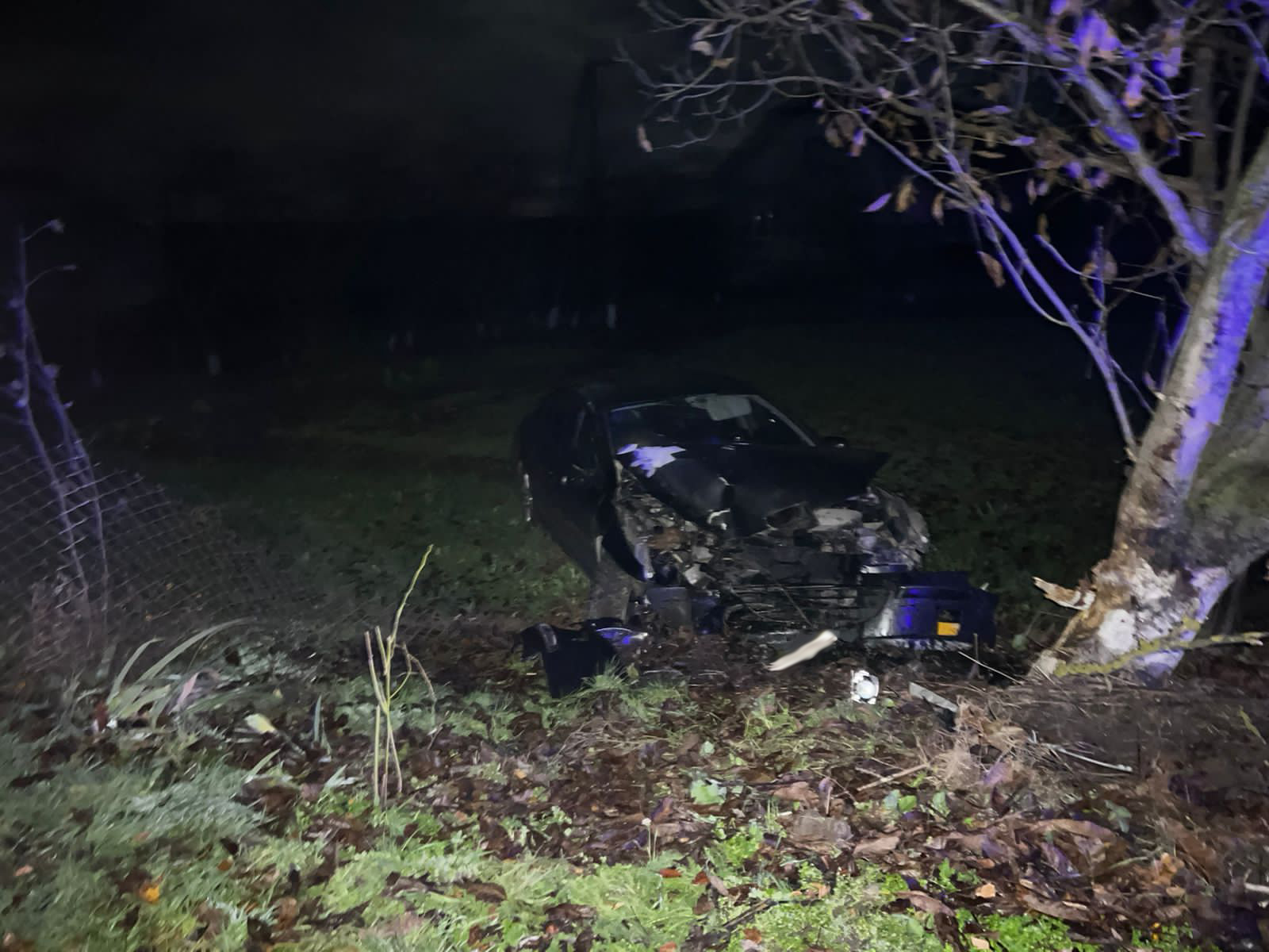 На Львівщині авто влетіло в дерево: 28-річну пасажирку госпіталізували