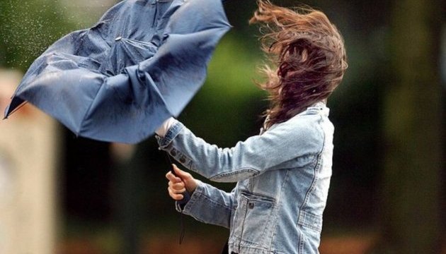Сильний вітер, на заході – сніг та заморозки. Якою буде погода 19 квітня