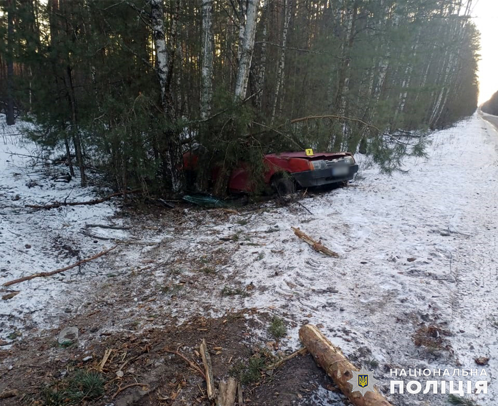 П'яний водій на Житомирщині врізався у дерево: є постраждалі