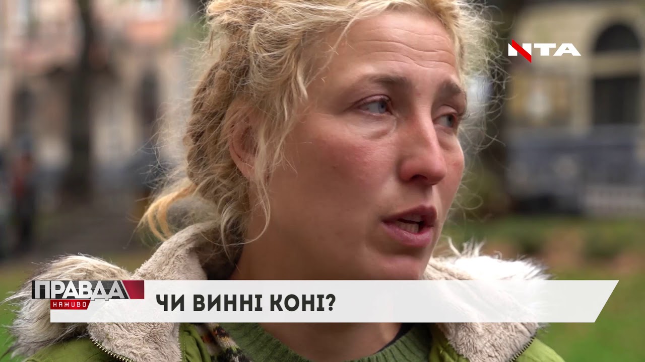 Кінні прогулянки Львовом тепер під забороною: все через суботню трагедію