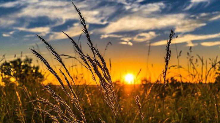 До 30° тепла, подекуди грози. Якою буде погода в Україні 25 червня