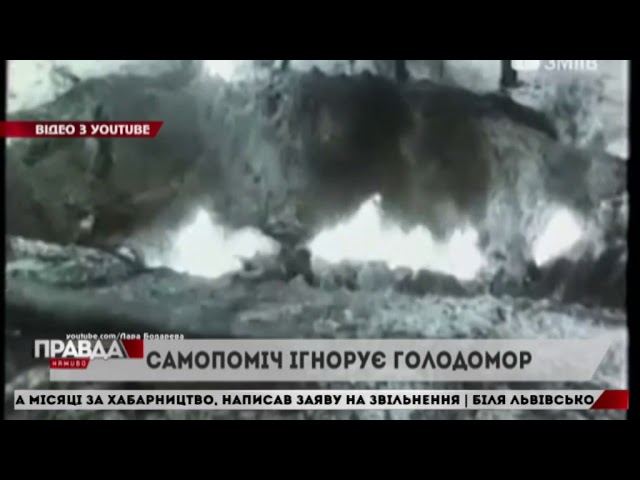 Депутати провалили голосування щодо Голодомору