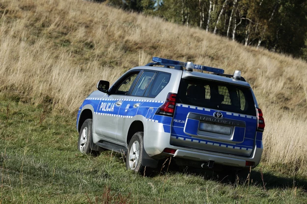 У Польщі в лісі знайшли уламки невідомого військового об'єкта