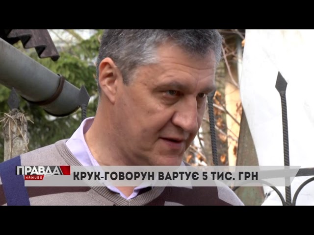 У дитячому екоцентрі зловмисники серед ночі викрали тварин