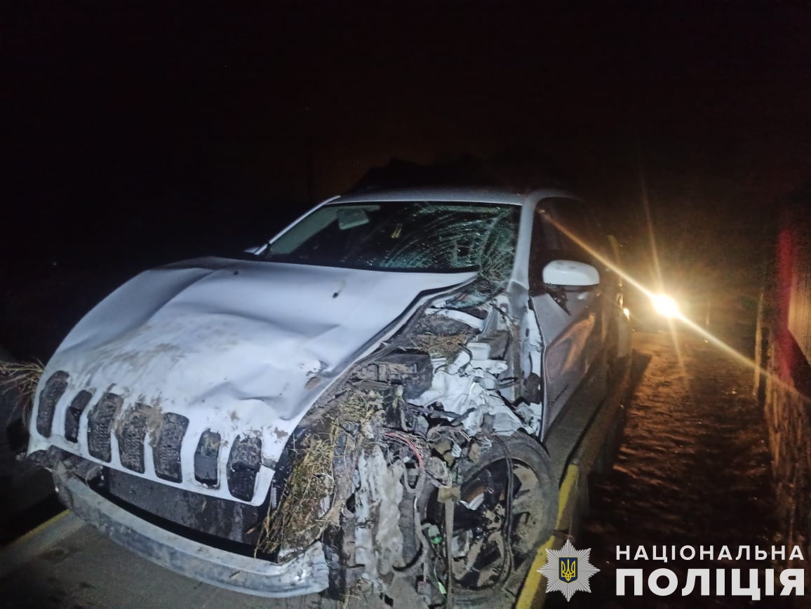 На Львівщині молодик розтрощив власне авто: пасажирка потрапила у лікарню (фото)