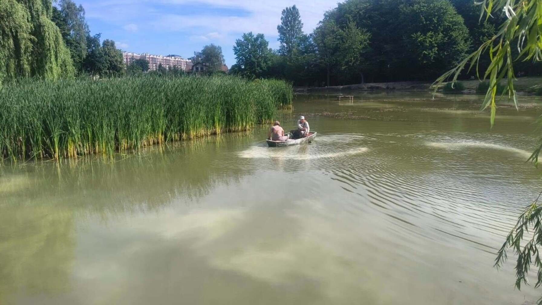 У львівських парках вапнують водойми: для чого це потрібно