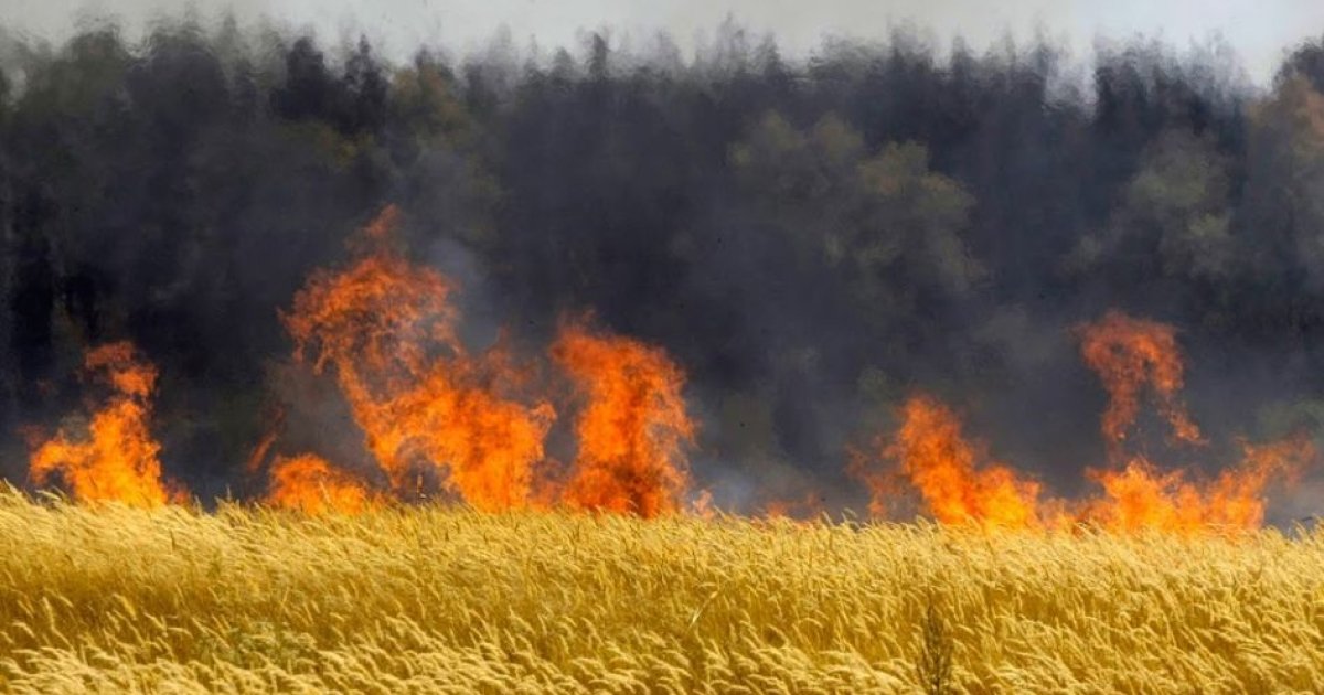 На Львівщині 70-річний чоловік потрапив у лікарню намагаючись погасити пожежу