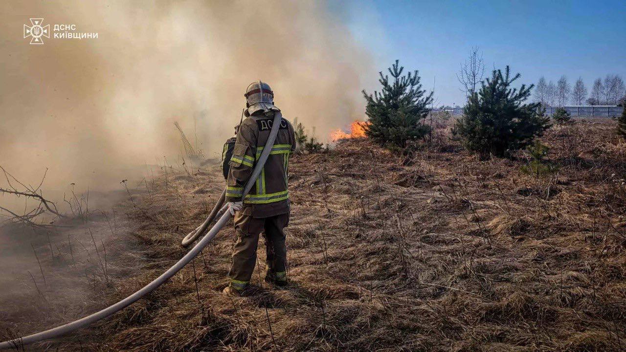 На Київщині троє дітей ледь не згоріли під час пожежі в полі
