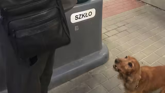 На Львівщині у двох пунктах пропуску службові собаки виявили наркотики