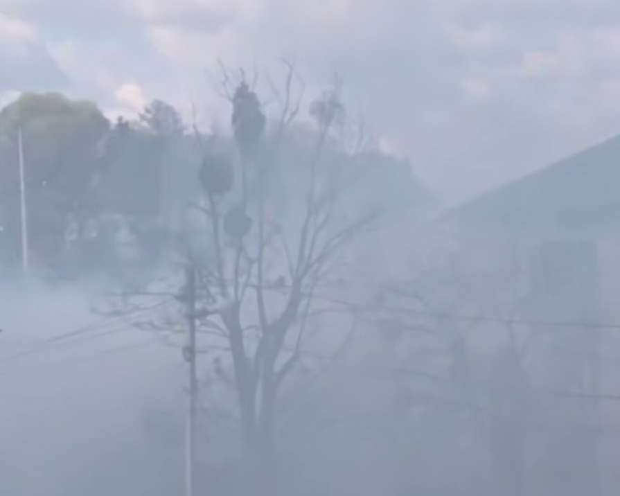 Пів міста в диму: поблизу центру Львова горить будинок (відео)