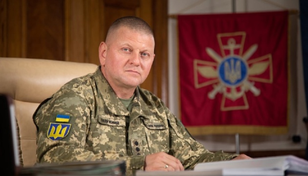 «Ми домовилися». Залужний зустрівся з генеральним інспектором Бундесвер