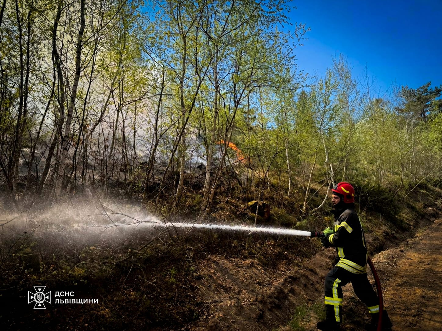 Як горіла Львівщина 5 травня: моторошні фото від ДСНС