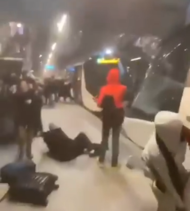 У Страсбурзі зіштовхнулися два поїзди: десятки постраждалих (відео)