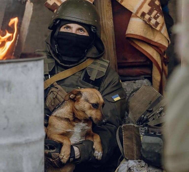 Кролик Лакі, Хаскі Буча та кіт з Бородянки. Історії врятованих під час війни хвостатих