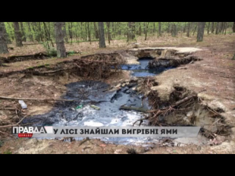 У лісі знайшли вигрібні ями