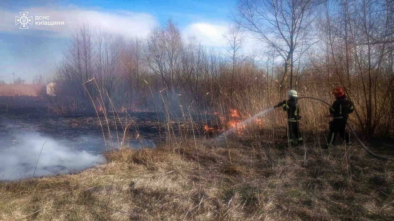 Через підпал сухостою на Київщині загинули двоє людей