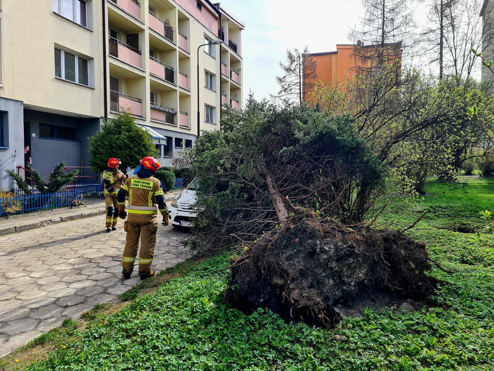 У Польщі вируть сильні вітри: загинули п'ятеро людей, серед яких діти