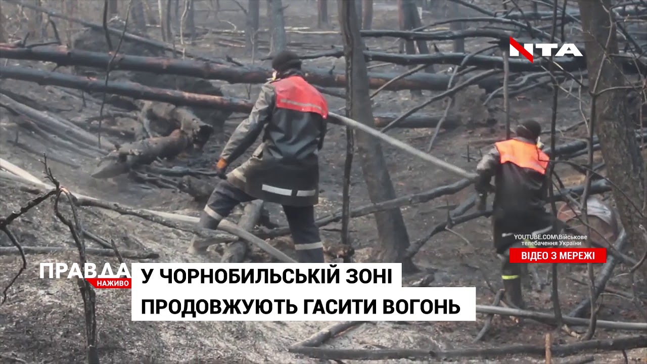 Суху траву тепер палять і у Львові
