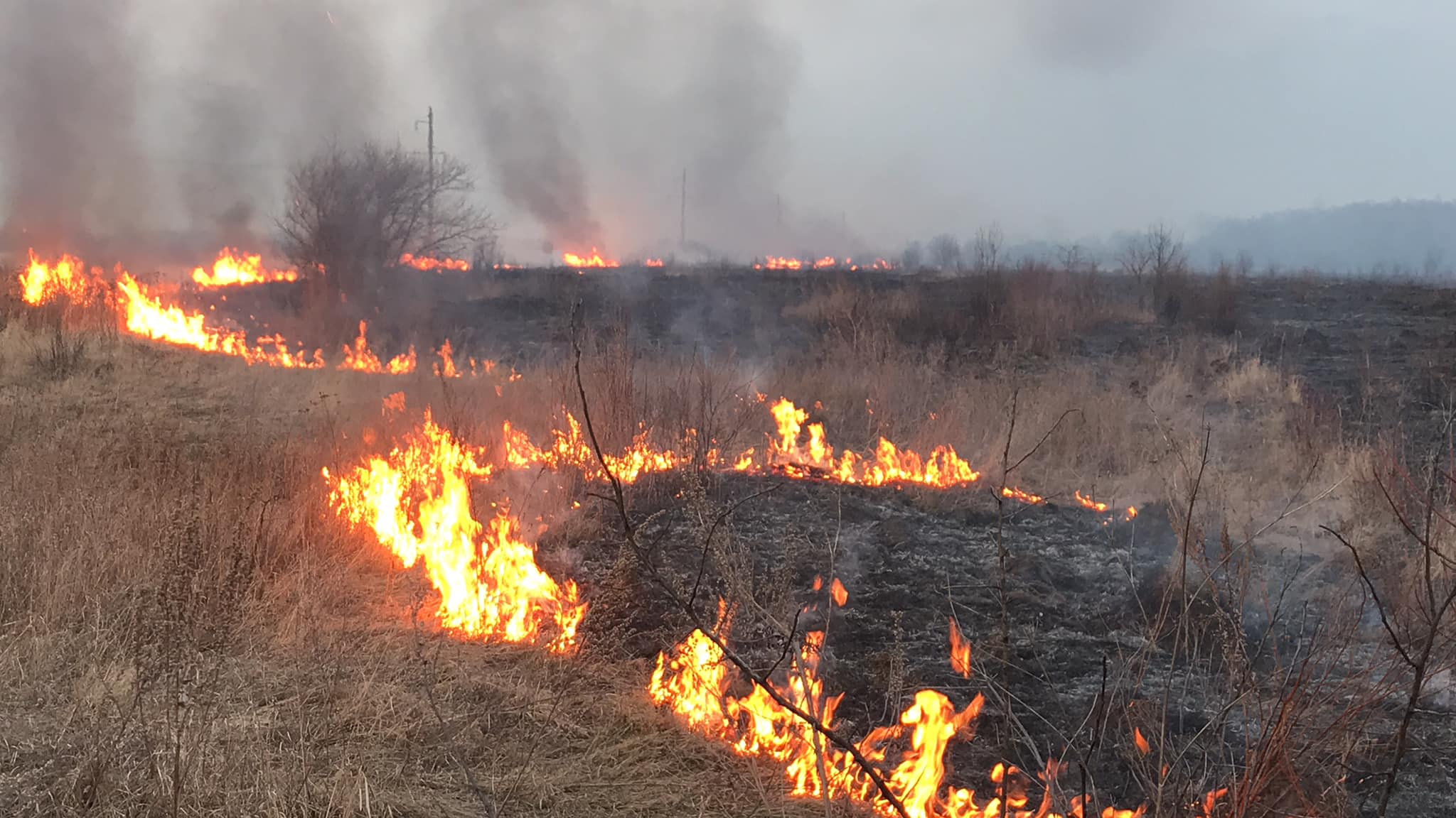У Львові оголошено п'ятий клас пожежної небезпеки: у чому причина