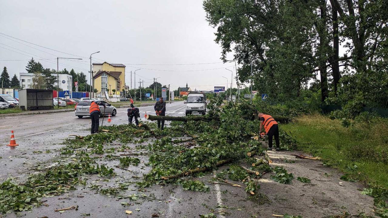 Повалені сотні дерев, зірвані десятки дахів, частина людей без світла: Львівщина оговтується після буревію