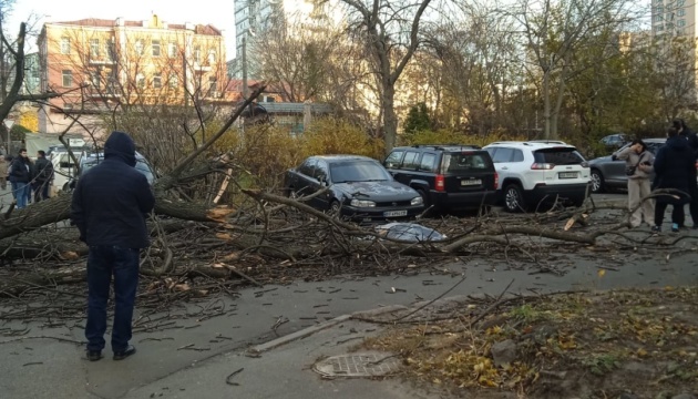 У Києві вирує негода: дерево впало на жінку