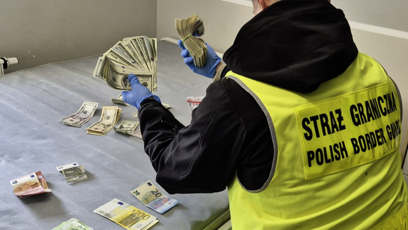 Незаконно потрапили у Польщу 839 українців: затримали подружжя з України
