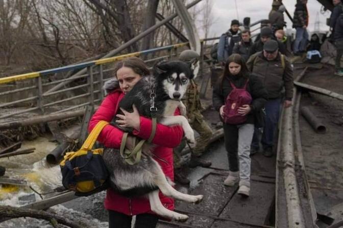 Десять мільйонів українців покинули свої домівки через війну - ООН