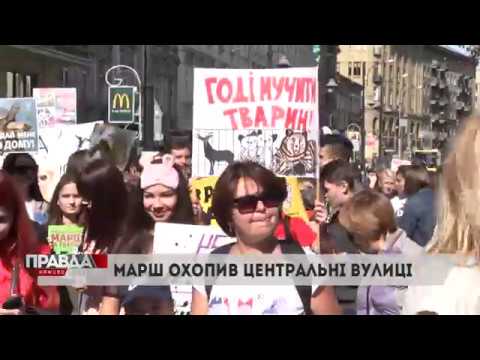 Більше пів тисячі людей вимагали у Львові гуманного ставлення до тварин