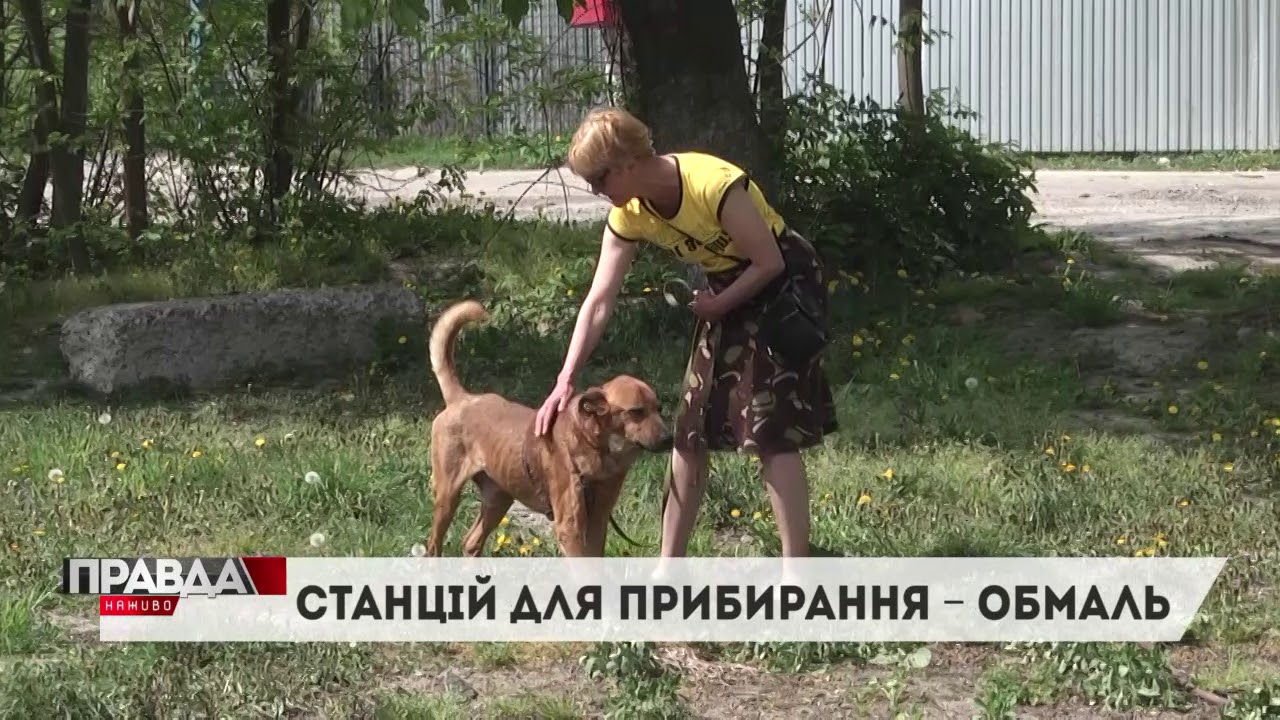 ВР примусить прибирати за собаками на прогулянках майже двотисячним штрафом