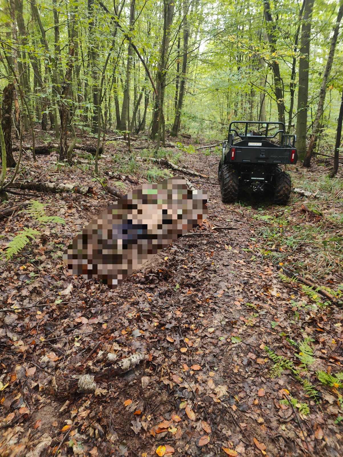 На Львівщині знайшли тіло зниклого чоловіка
