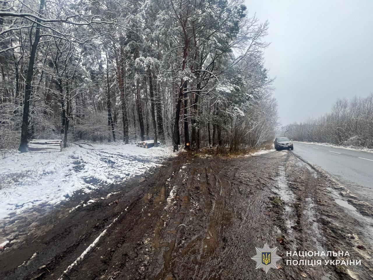 В аварії на Львівщині злетів з дороги та перекинувся автомобіль: травмувалася пасажирка (фото)