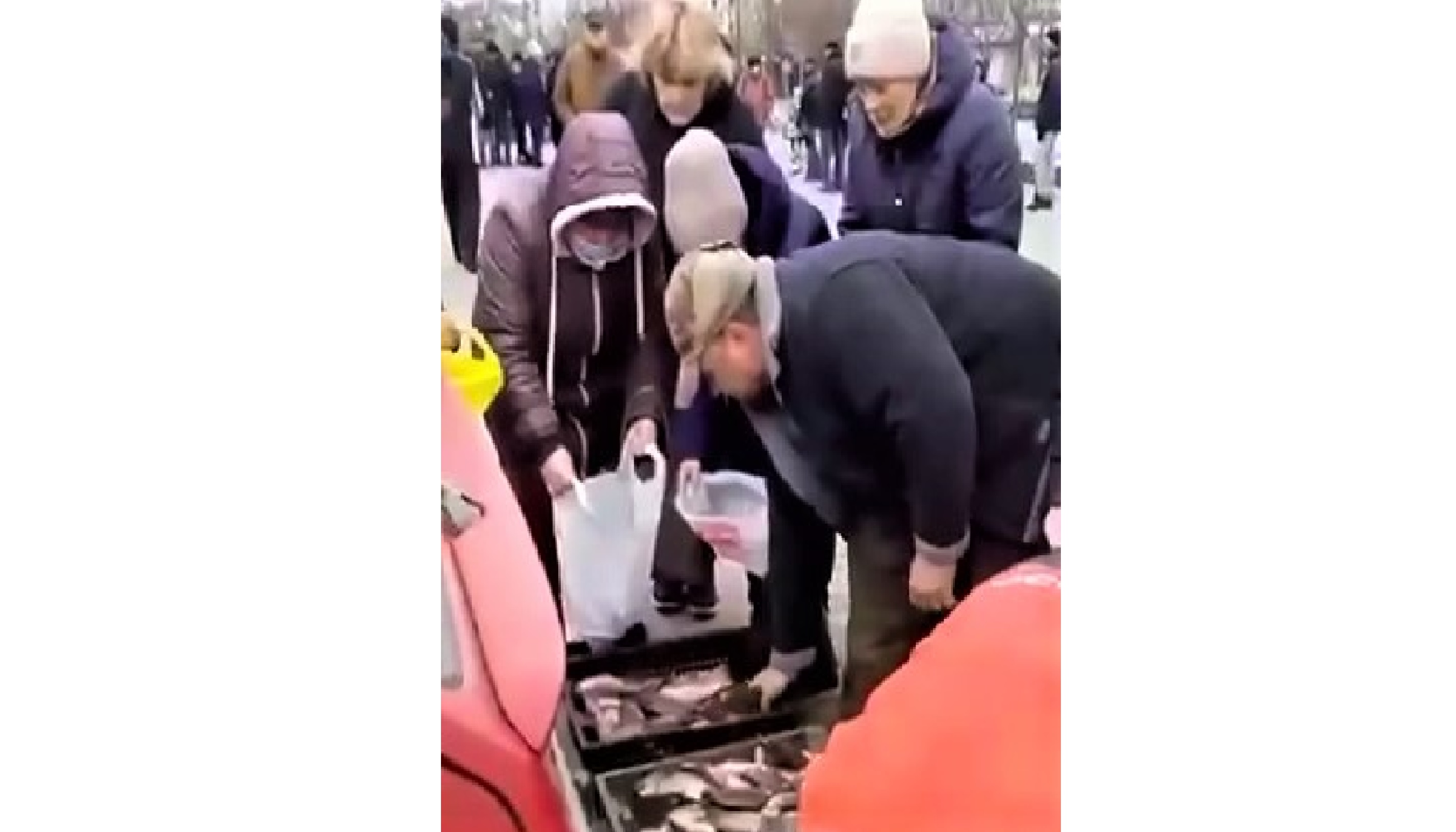 Енергодарські рибалки роздарували мешканцям улов. Відеофакт