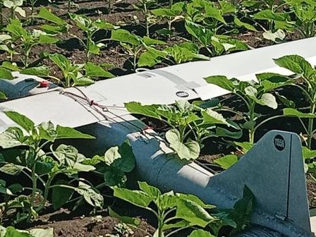 Українські десантники «приземлили» ворожий БПЛА «Орлан-10»
