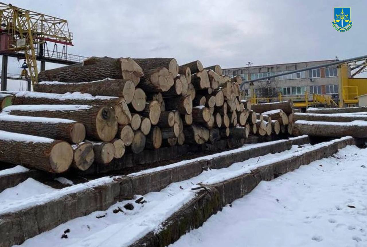 У Чорнобильському заповіднику вирубали 100-літні дуби на майже 60 млн гривень