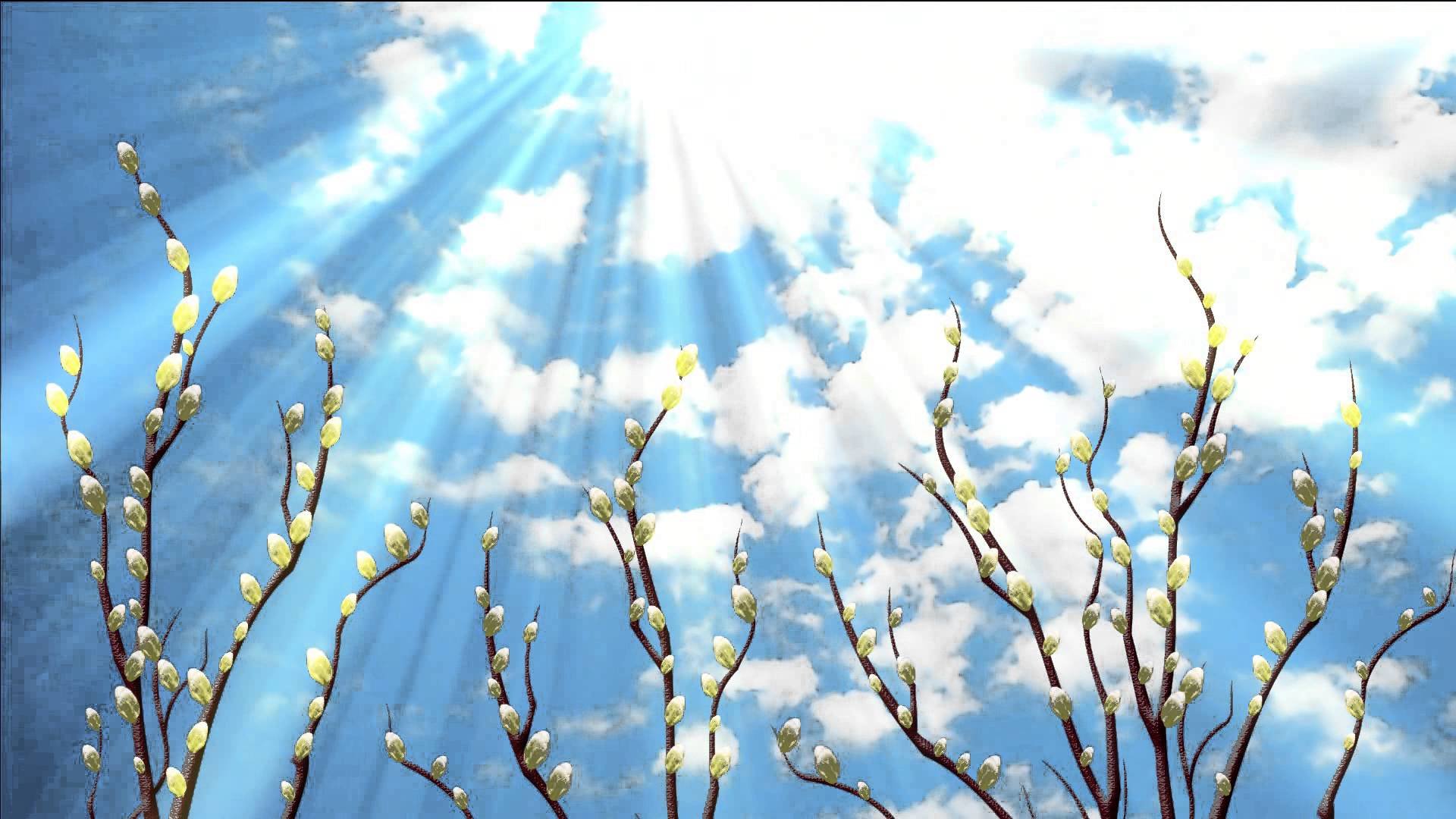 На Благовіщення обіцяють до +20 і невеликі дощі у західних областях